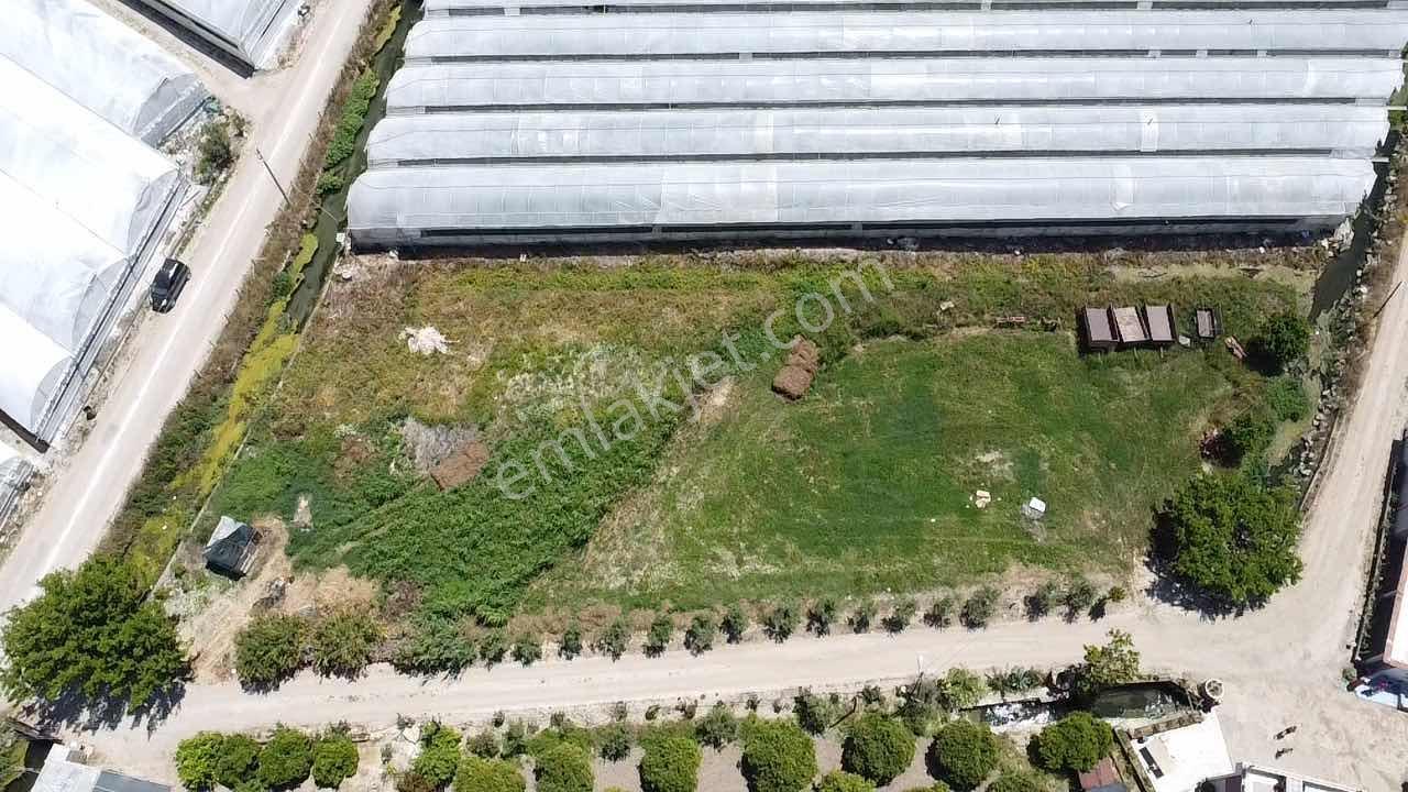 Kökce'den Satılık 2100 M2 Yol Kenarı Tarla - Görsel 3