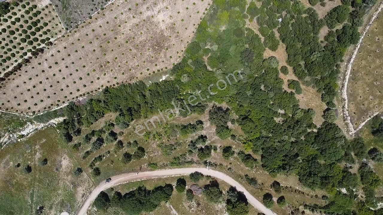 Kökce'den Satılık 9300 M2 Müstakil Tapu Tarla - Görsel 7