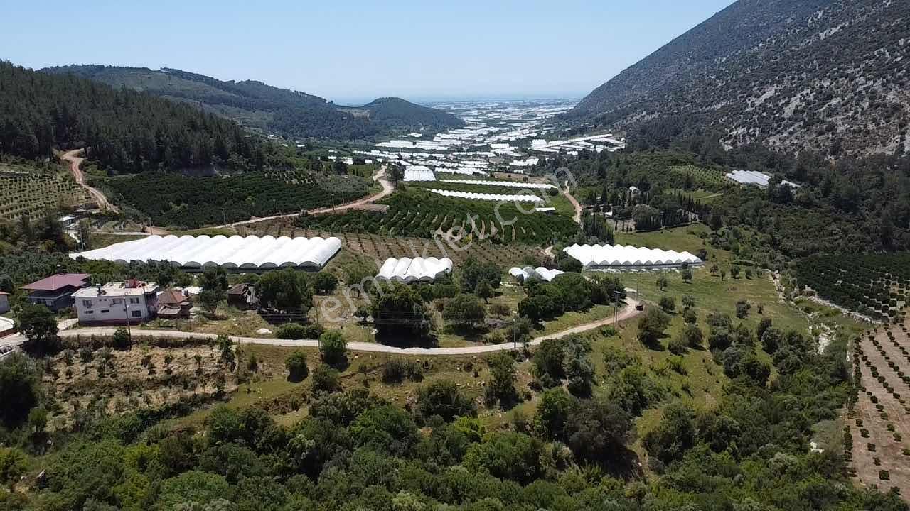 Kökce'den Satılık 9300 M2 Müstakil Tapu Tarla