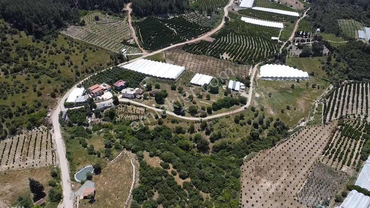 Kökce'den Satılık 9300 M2 Müstakil Tapu Tarla - Görsel 5