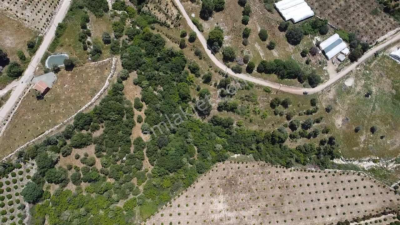 Kökce'den Satılık 9300 M2 Müstakil Tapu Tarla - Görsel 2