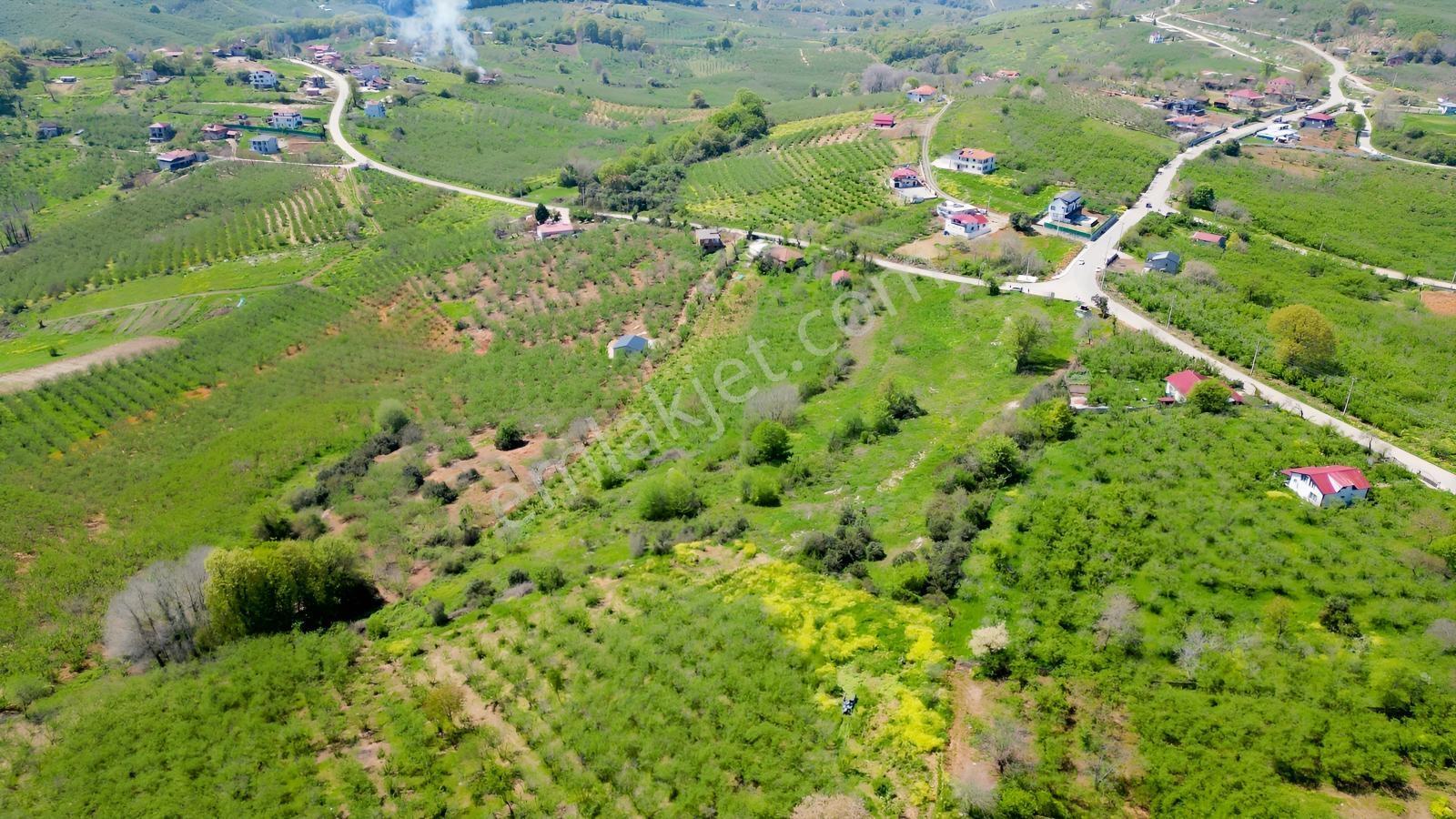 Kocaali'de %40 İmarlı Projeli+ruhsatlı İnşaya Hazır 621 M2 Arsa - Görsel 13