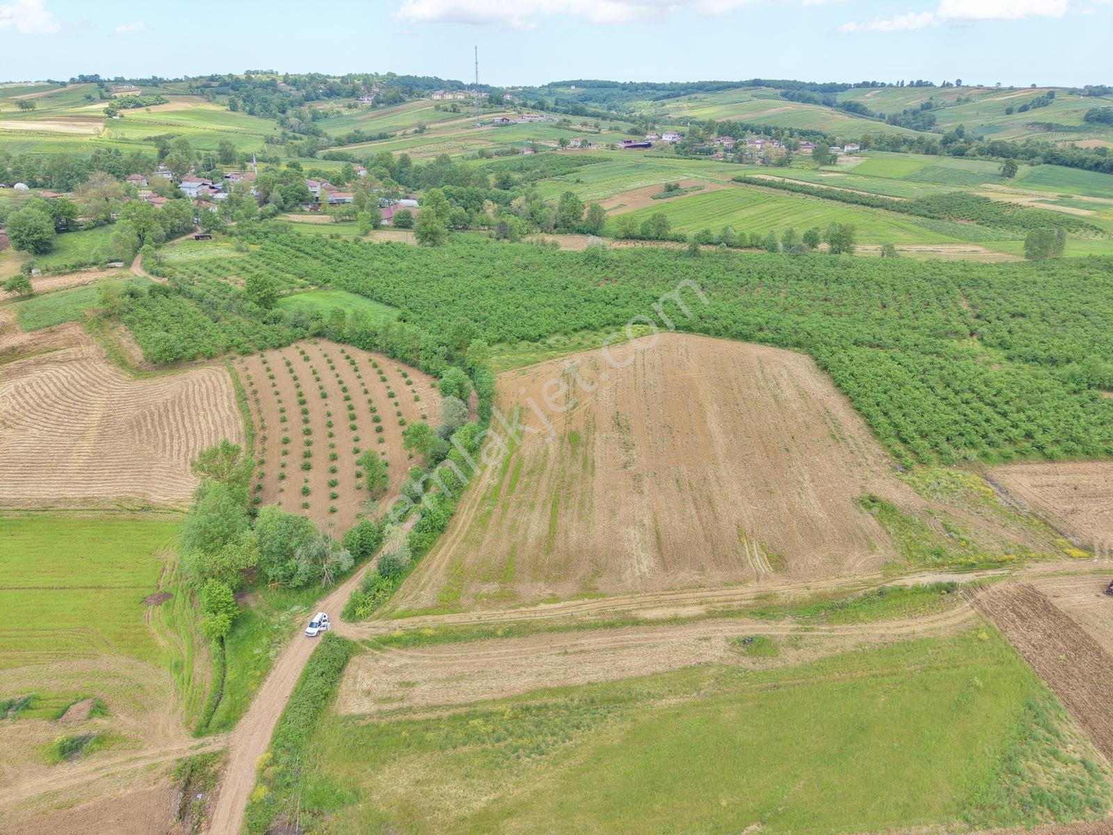 Köye Yürüme Mesafesinde Kandıra Merkeze Yakın 781 M2 Arazi - Görsel 10