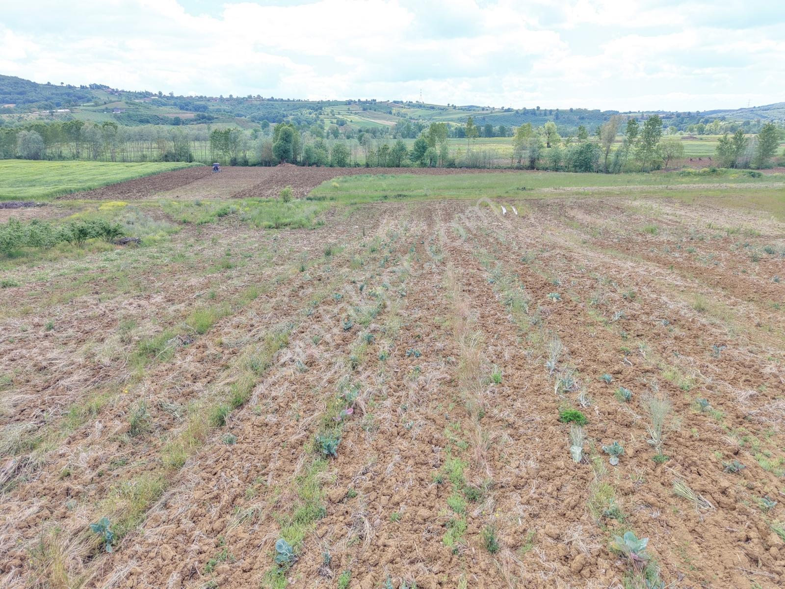 Köye Yürüme Mesafesinde Kandıra Merkeze Yakın 781 M2 Arazi - Görsel 14