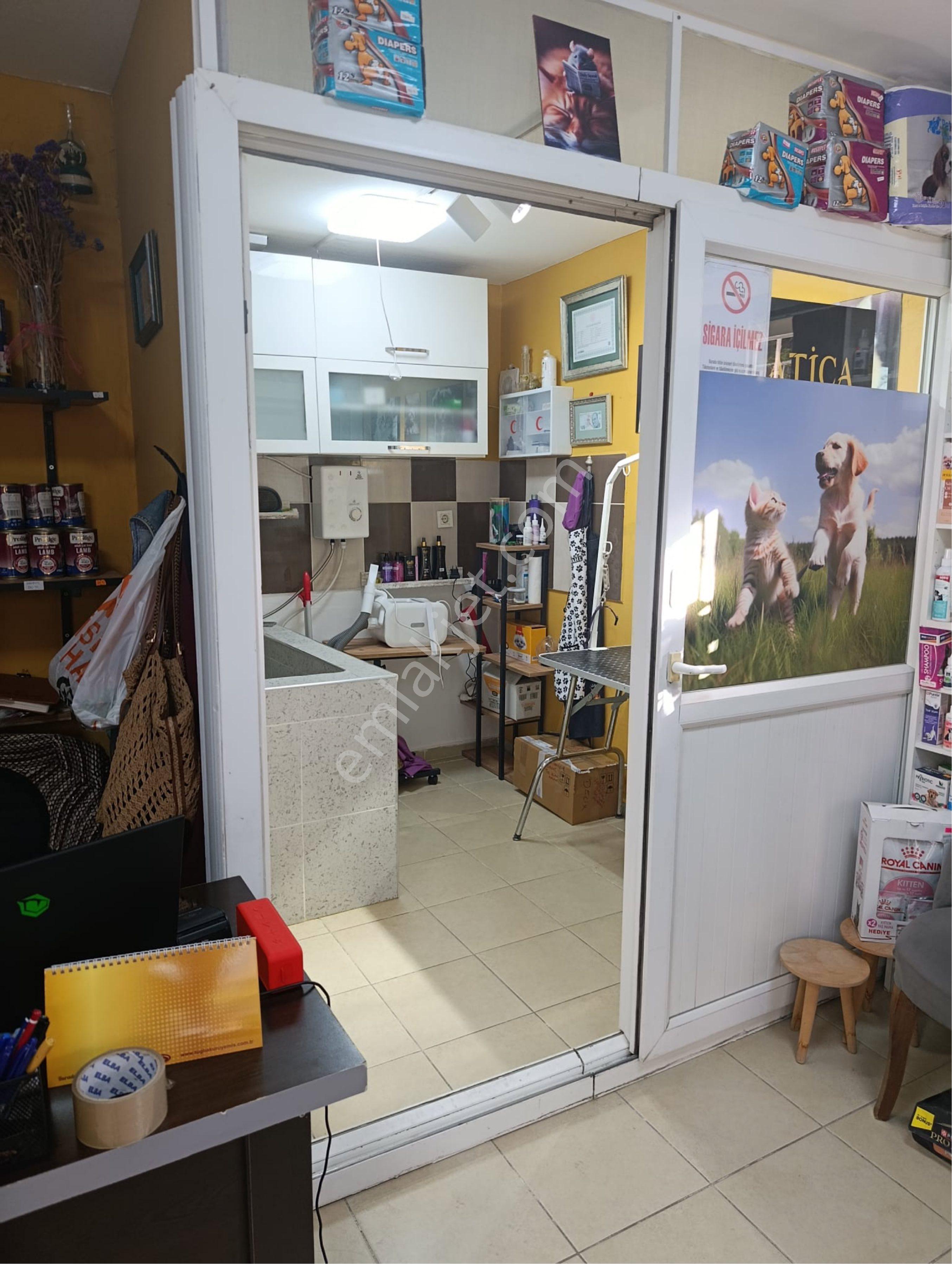 Ogün'den Hatay Askeri Hastane Yakınında Wcli Mutfaklı Kiralık Dükkan - Görsel 2