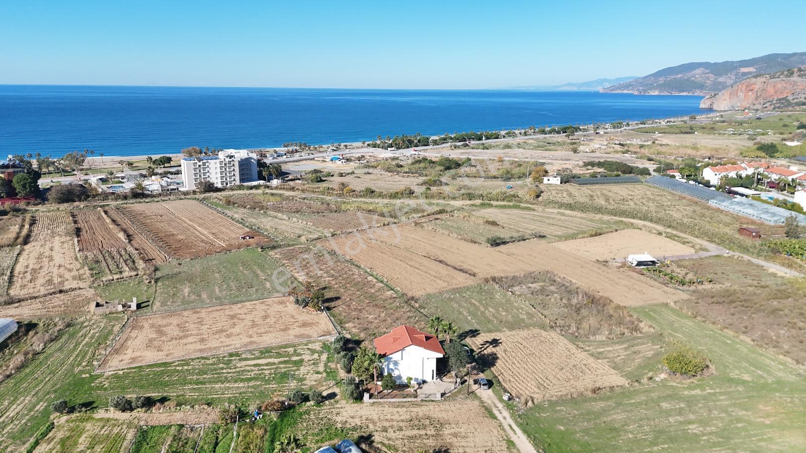 Gazipaşa / Pazarcı 5+1 Tripleks Villa Satılık Müstakil - Görsel 3
