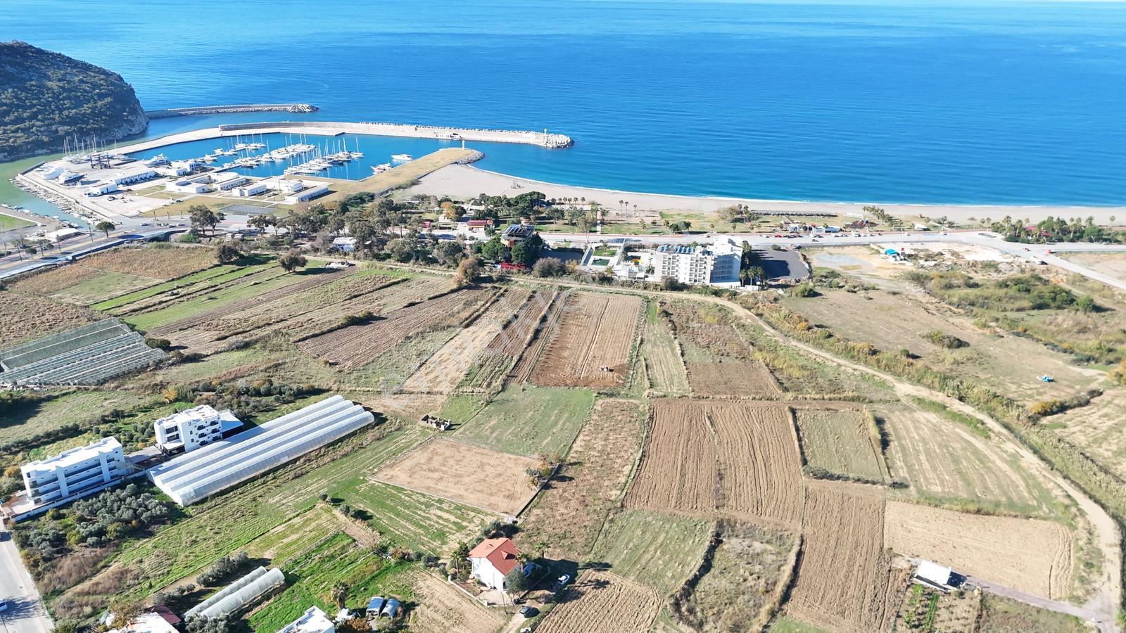 Gazipaşa / Pazarcı 5+1 Tripleks Villa Satılık Müstakil - Görsel 4