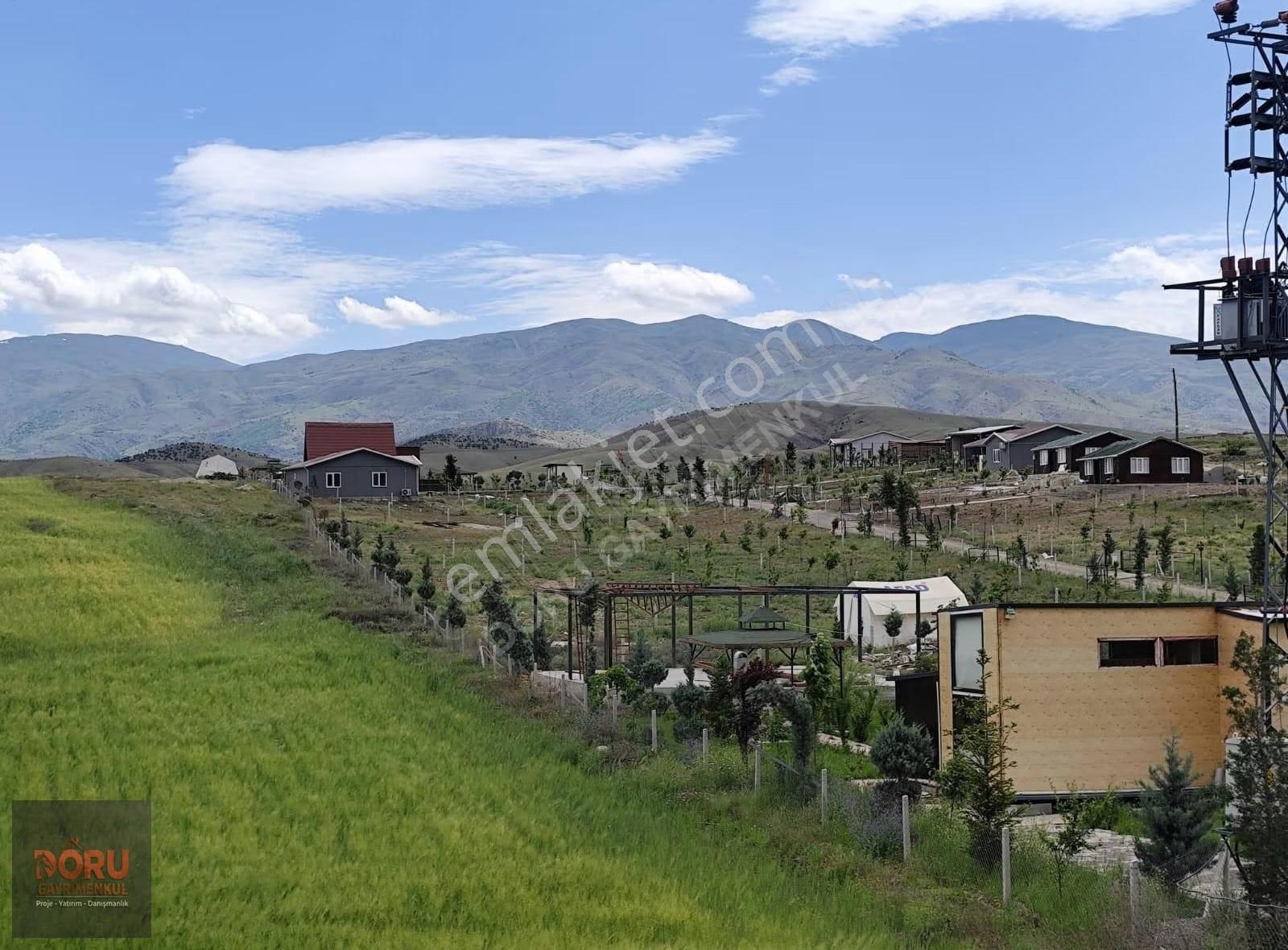 Doru'dan Malatya Merdivenlerde Doğal Yaşam Alanı - Görsel 15