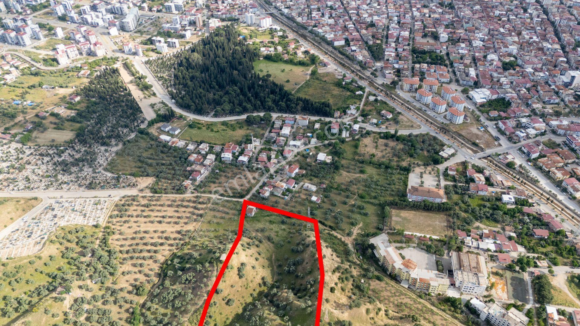 Pınarbaşı Mahallesinde Satılık İmarlı Zeytinlik - Görsel 7