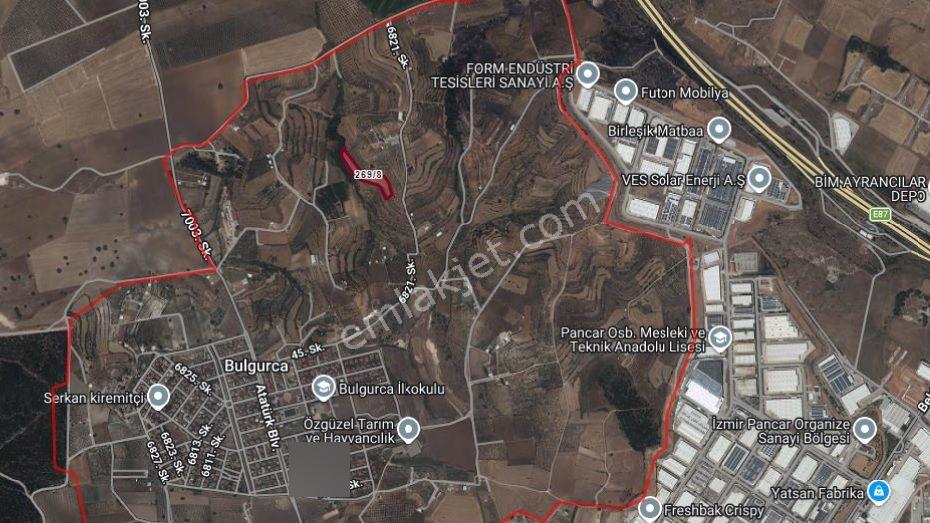 Turpa Lotus'tan Bulgurca'da 7.562 M2 Satılık Tarla-zeytinlik