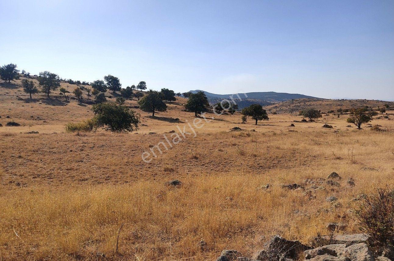 Sağlık Da Müstakil Tapulu Yakınında Su Bulunan Makul Fiyatlı Arazi - Görsel 5