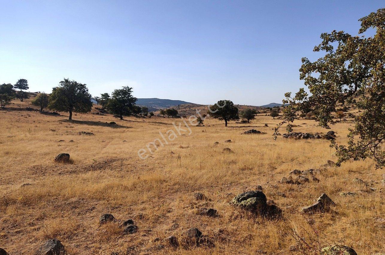 Sağlık Da Müstakil Tapulu Yakınında Su Bulunan Makul Fiyatlı Arazi - Görsel 14