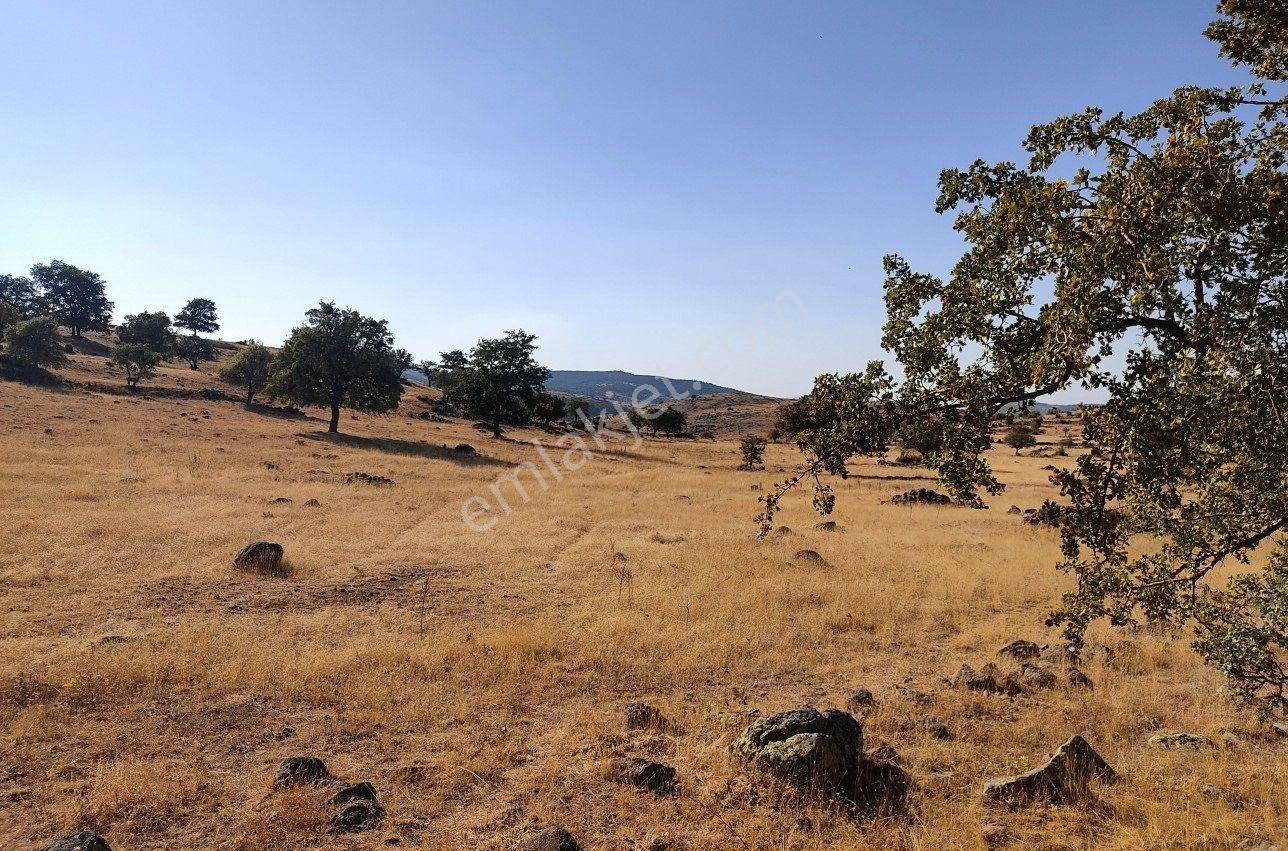 Sağlık Da Müstakil Tapulu Yakınında Su Bulunan Makul Fiyatlı Arazi - Görsel 12