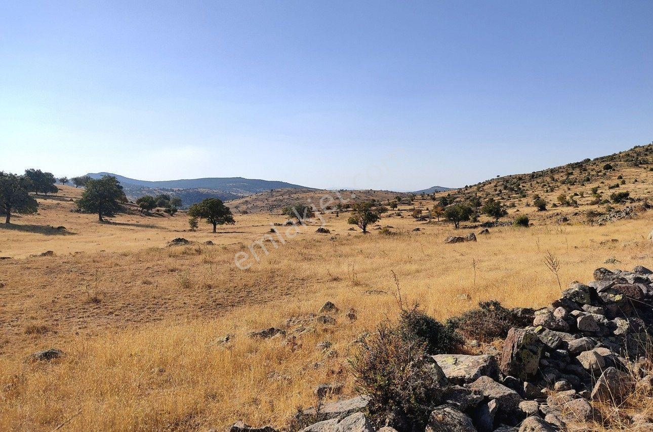 Sağlık Da Müstakil Tapulu Yakınında Su Bulunan Makul Fiyatlı Arazi - Görsel 3
