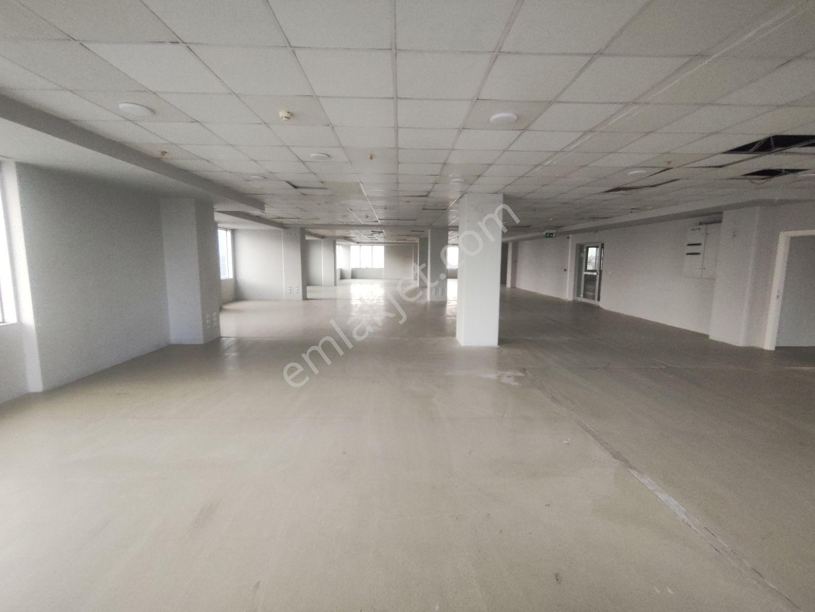 Enes Malik Toraman'dan 1000 M2 Prestijli Kiralık Plaza Katları - Görsel 14