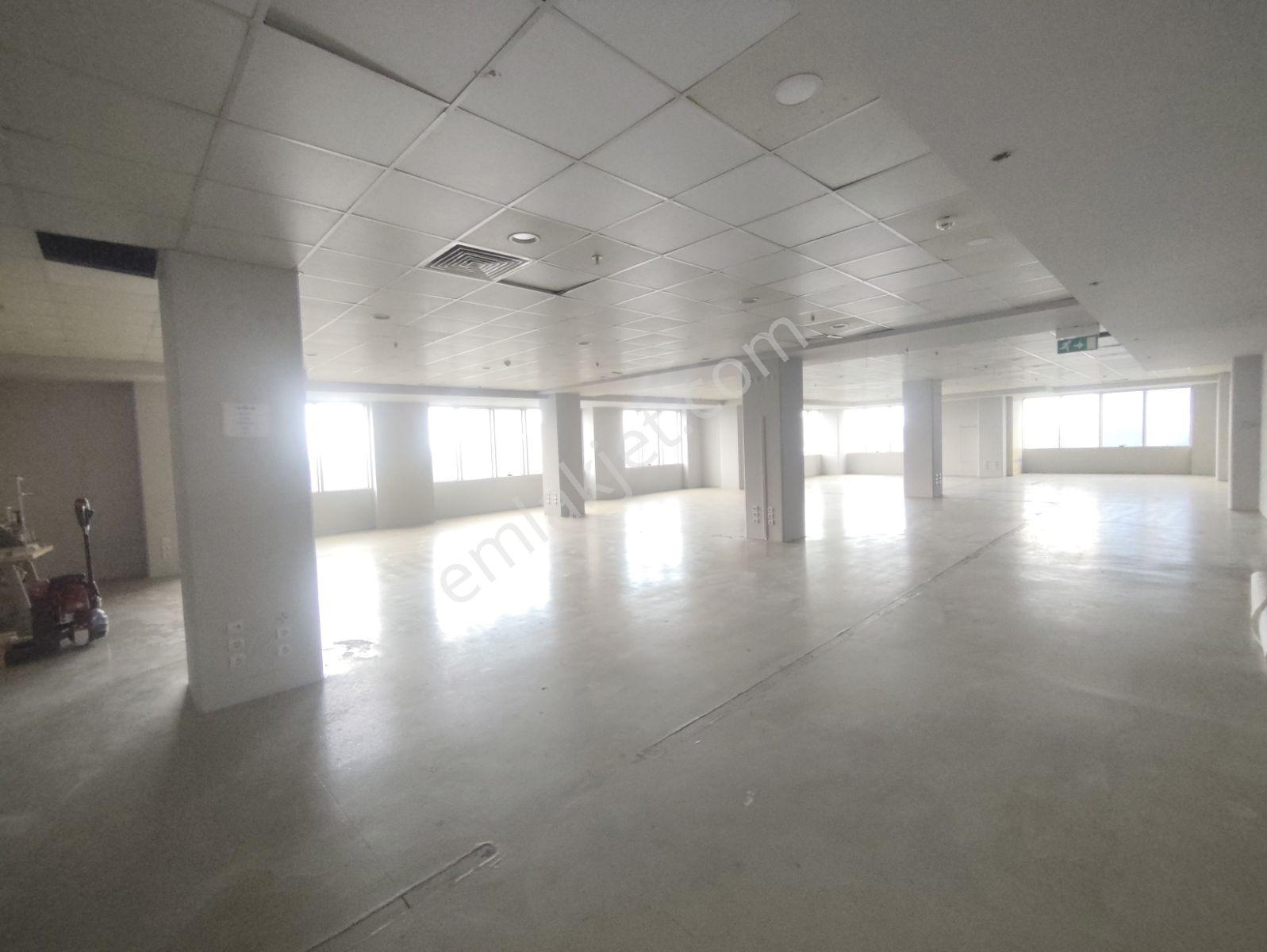 Enes Malik Toraman'dan 1000 M2 Prestijli Kiralık Plaza Katları - Görsel 19