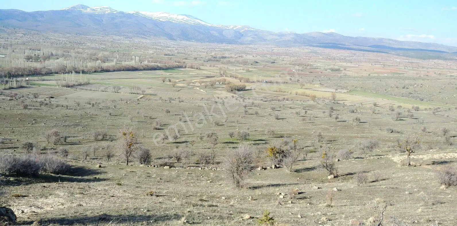 Sağlıkda Hayvancılık-fidancılık İçin Uygun Makul Fiyatlı Arazi - Görsel 2
