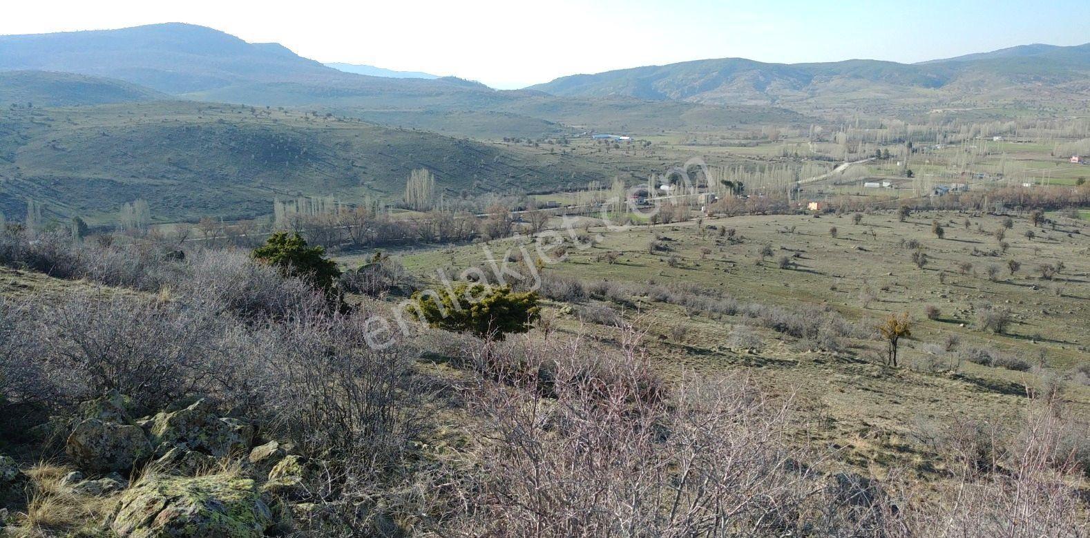 Sağlıkda Hayvancılık-fidancılık İçin Uygun Makul Fiyatlı Arazi - Görsel 7