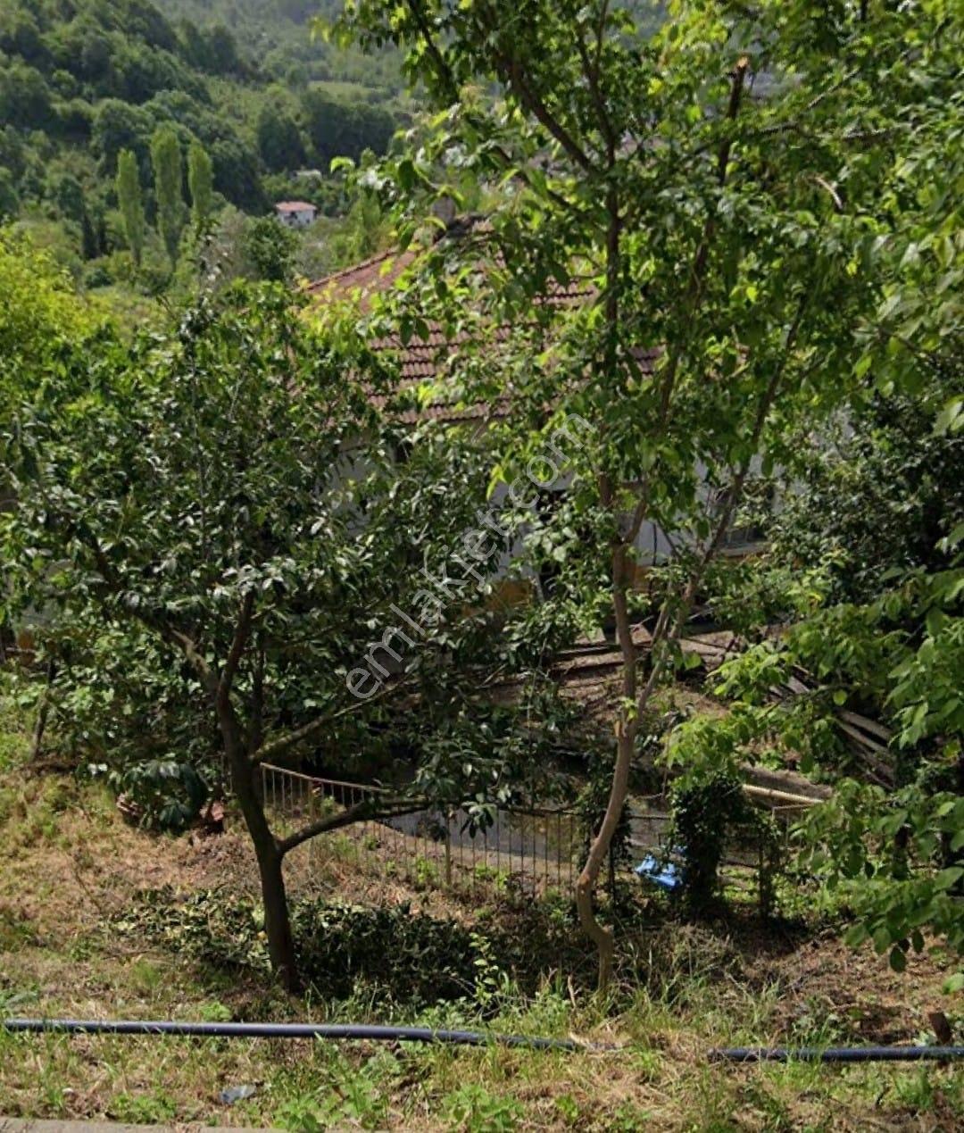 Neva'dan Elmalık Köyü'nde 8585 M² İçinde Ev Su Elektrik Satılık - Görsel 11