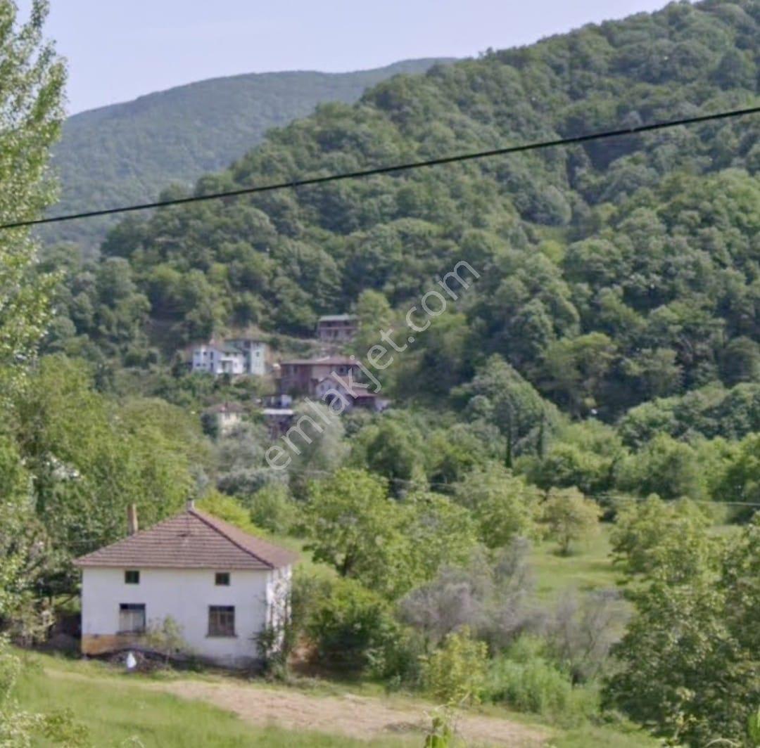 Neva'dan Elmalık Köyü'nde 8585 M² İçinde Ev Su Elektrik Satılık - Görsel 10