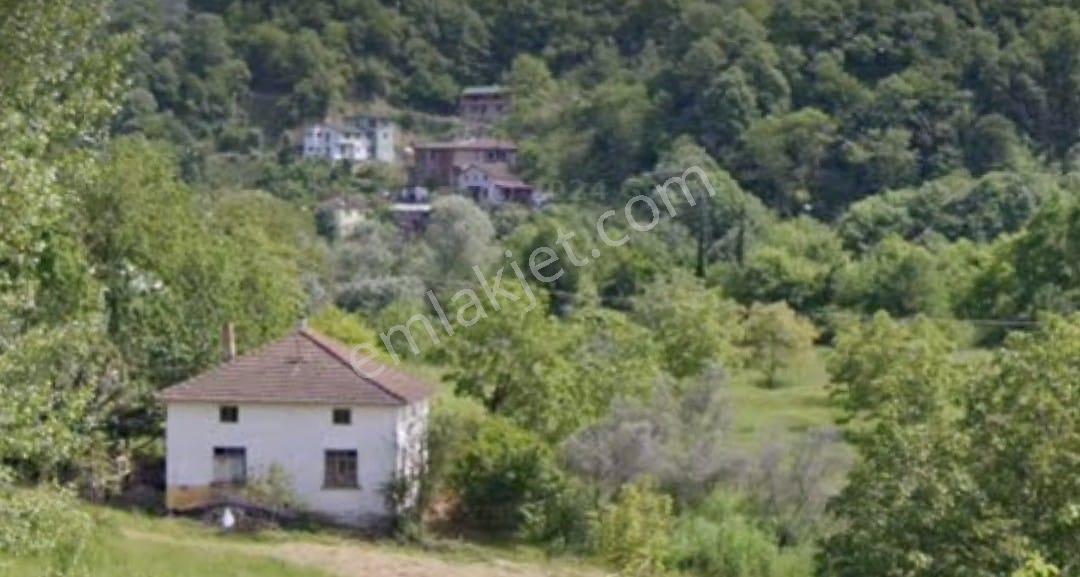 Neva'dan Elmalık Köyü'nde 8585 M² İçinde Ev Su Elektrik Satılık