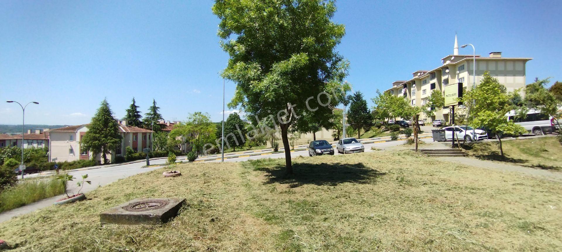Sakarya Zümrüt Emlak'tan Camilide 35 M2 Satılık Dükkan - Görsel 5