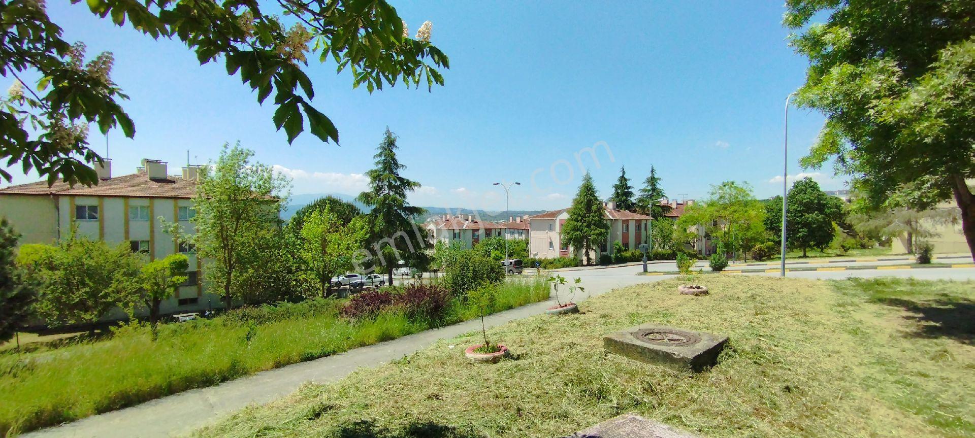 Sakarya Zümrüt Emlak'tan Camilide 35 M2 Satılık Dükkan - Görsel 6