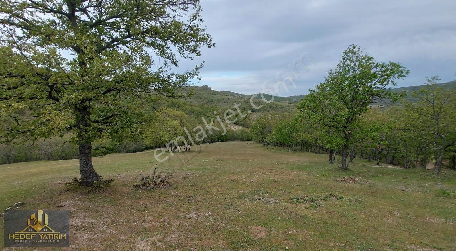 Sabit Taksitle Yer Satıyoruz...hemen Tapu..müstakil [ 8.470 M2 ] - Görsel 27