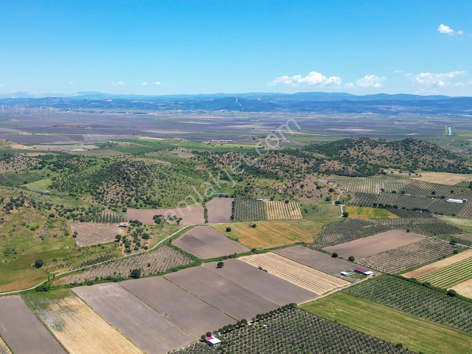 Dikili Demirtaş Köyü Kadı Merası Mevki 10.300 M² Tarla - Görsel 10
