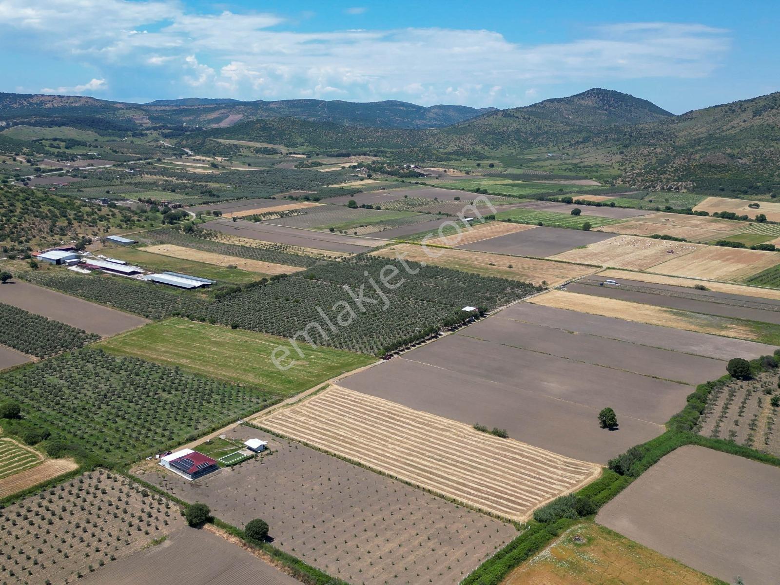 Dikili Demirtaş Köyü Kadı Merası Mevki 10.300 M² Tarla - Görsel 15