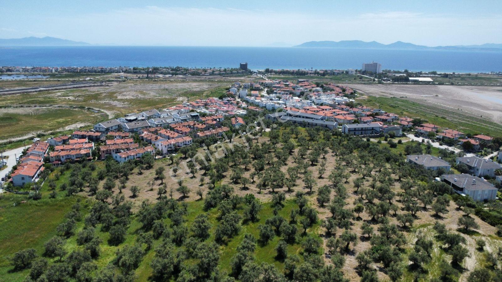 Era Angel'dan Ayvalık Sarımsaklıda 7 Dönüm İmara Sıfır Arsa
