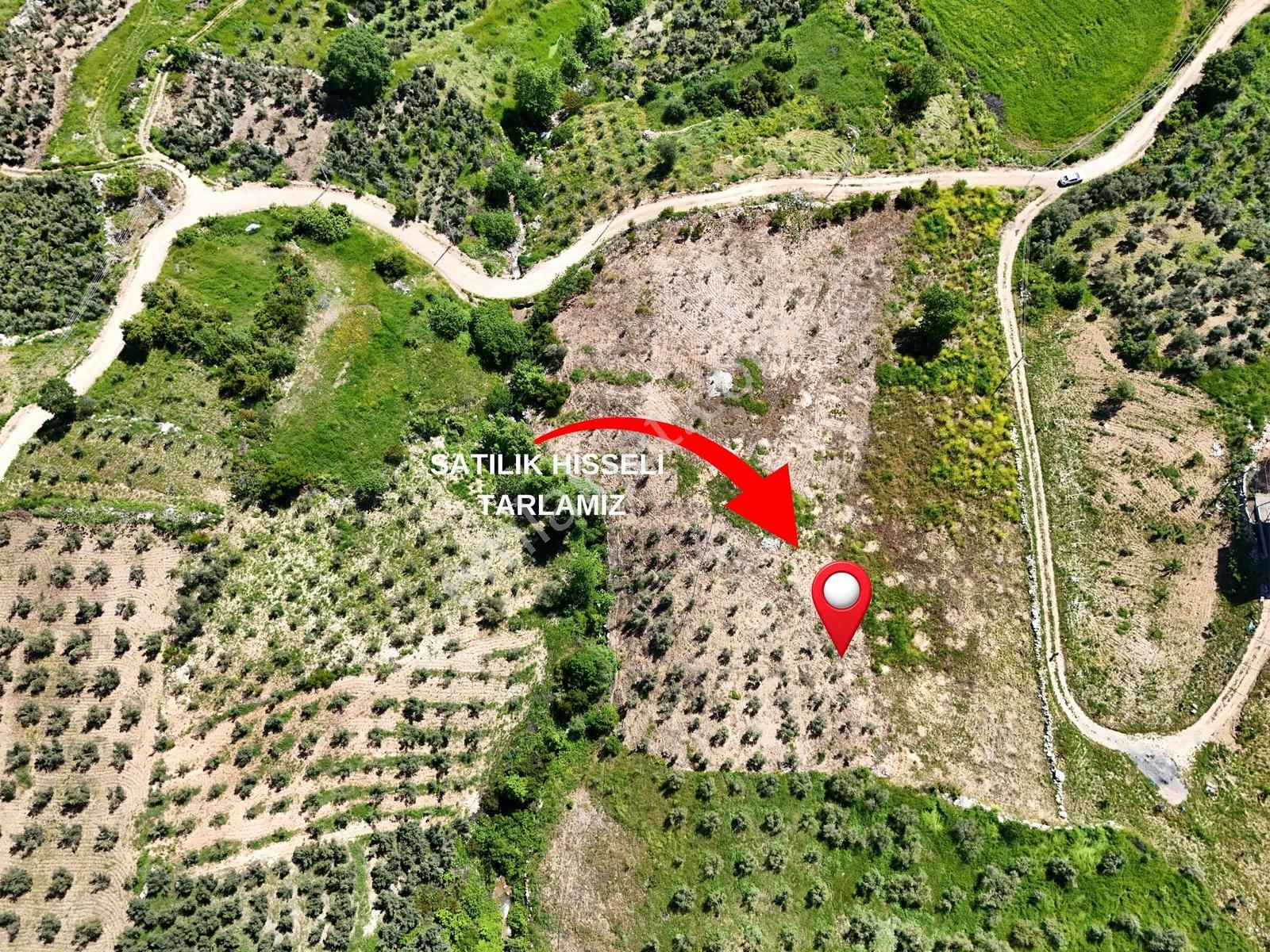 Cb'den Döngele Mh. Bağ İçin Uygun Satılık Tarla - Görsel 5