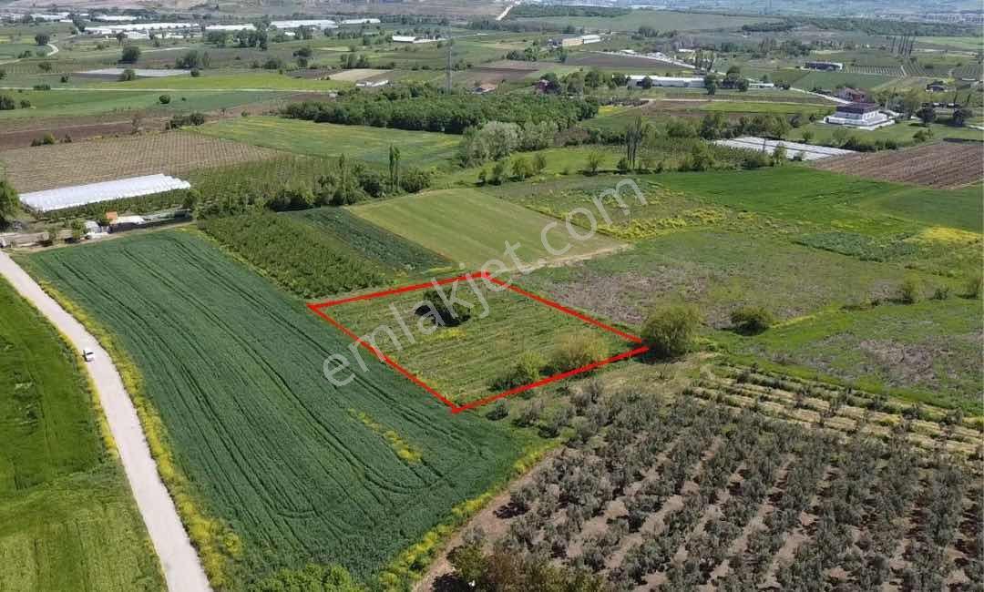 Mudanya Hasköy Villalara Yakın Fırsat Arazimiz - Görsel 8