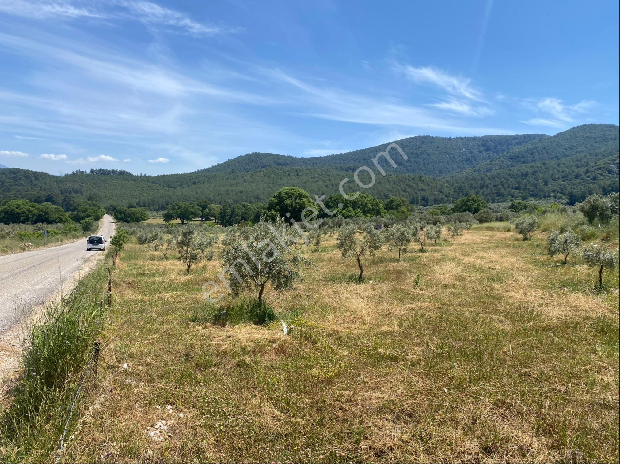 Fethiye Gökben’de Ana Yola Sıfır Müstakil Tarla 5807 M2 Kaçırmayın - Görsel 20
