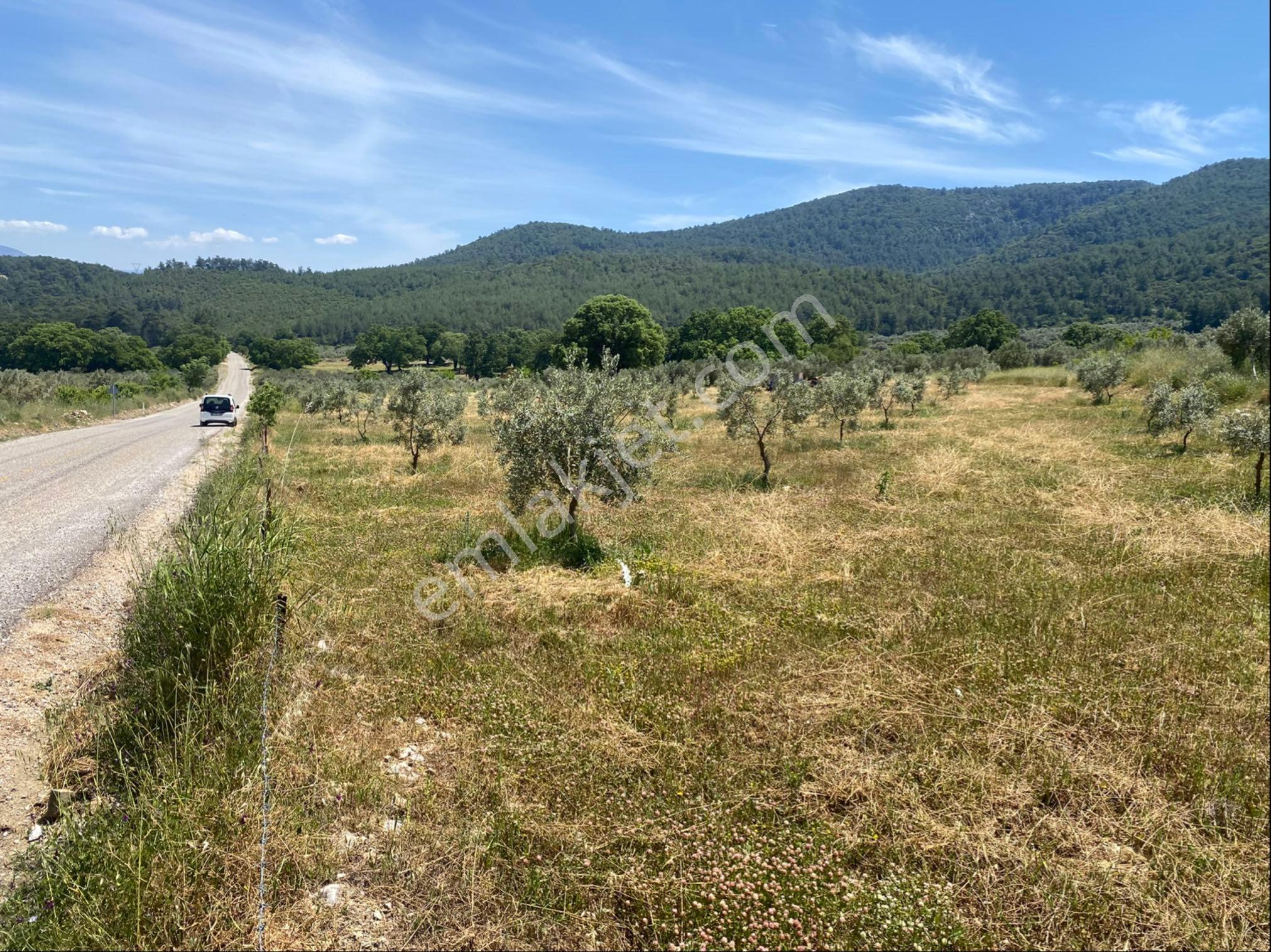 Fethiye Gökben’de Ana Yola Sıfır Müstakil Tarla 5807 M2 Kaçırmayın - Görsel 19