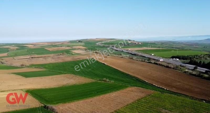 Tekirdağ Nusratlı'da Satılık 49 Dönüm Yatırımlık Tarla - Görsel 3