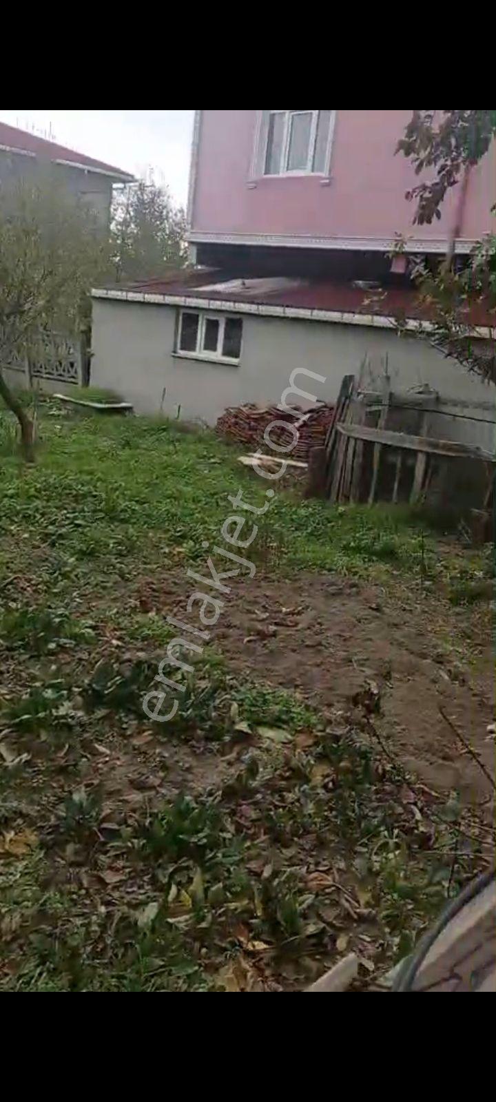 Kelepir Arsa Saray Büyükyoncalı'da İmarlı İfrazlı - Görsel 3