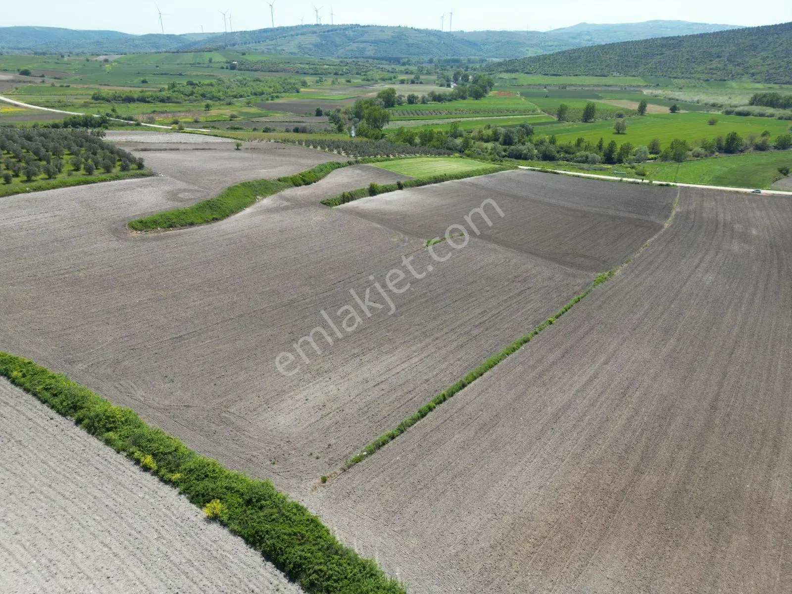 Bursa Karacabey Çeşnigir'de 4500 M² Verimli Tarım Arazisi - Görsel 3