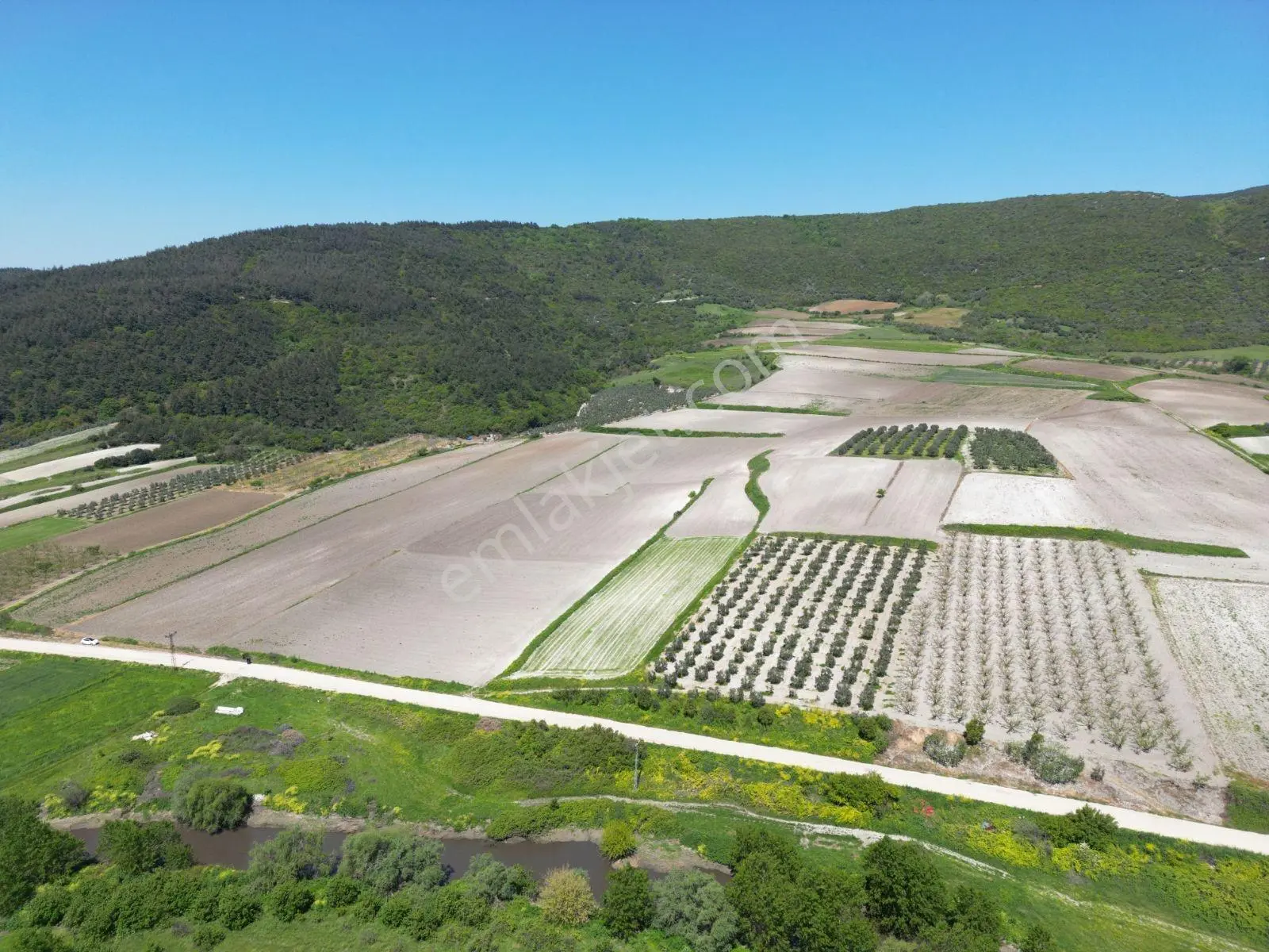 Bursa Karacabey Çeşnigir'de 4500 M² Verimli Tarım Arazisi - Görsel 7