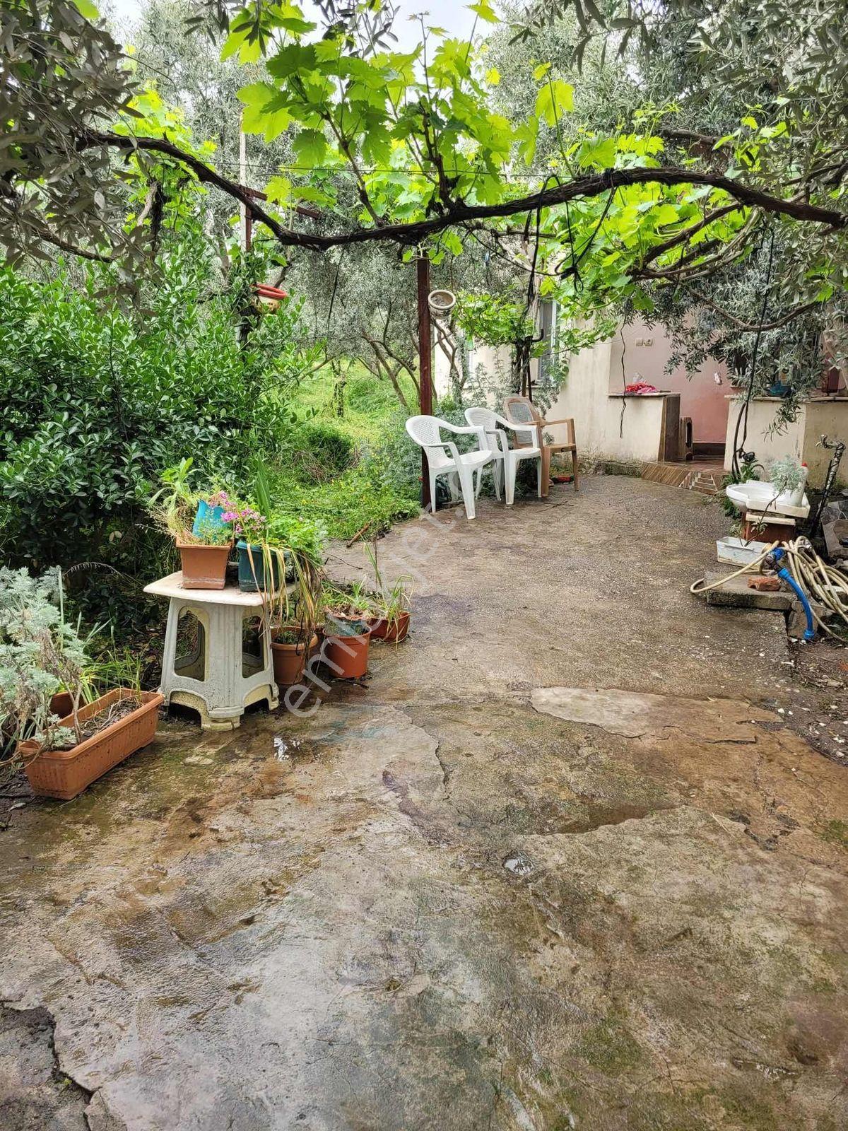 Nova'dan Dalbahçe Köyünde 2925m2 Satılık Arsa - Görsel 11