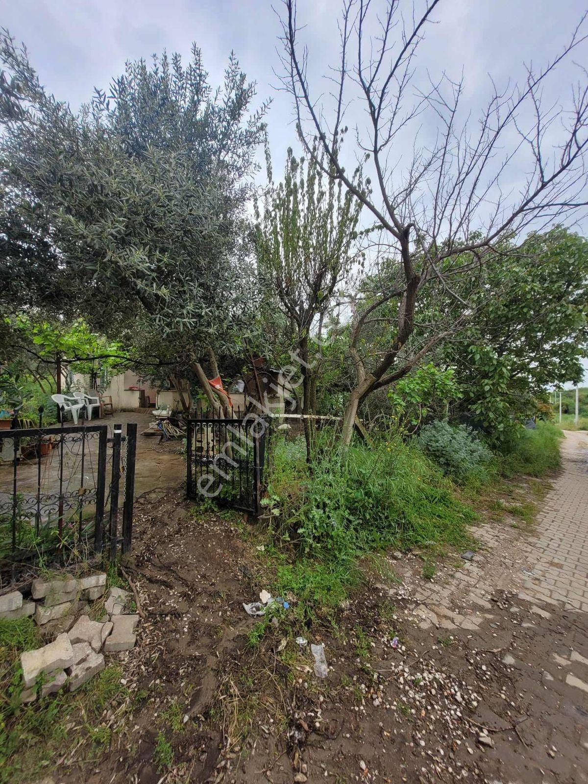 Nova'dan Dalbahçe Köyünde 2925m2 Satılık Arsa - Görsel 27