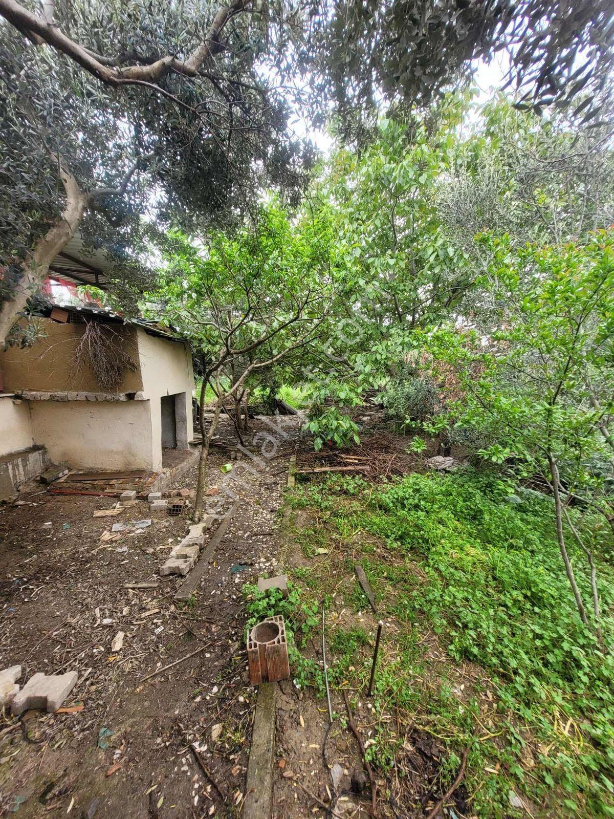 Nova'dan Dalbahçe Köyünde 2925m2 Satılık Arsa - Görsel 33