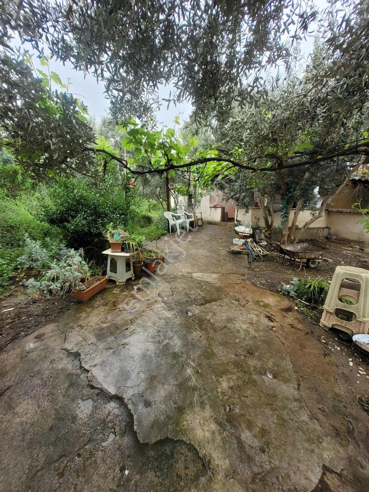 Nova'dan Dalbahçe Köyünde 2925m2 Satılık Arsa - Görsel 29