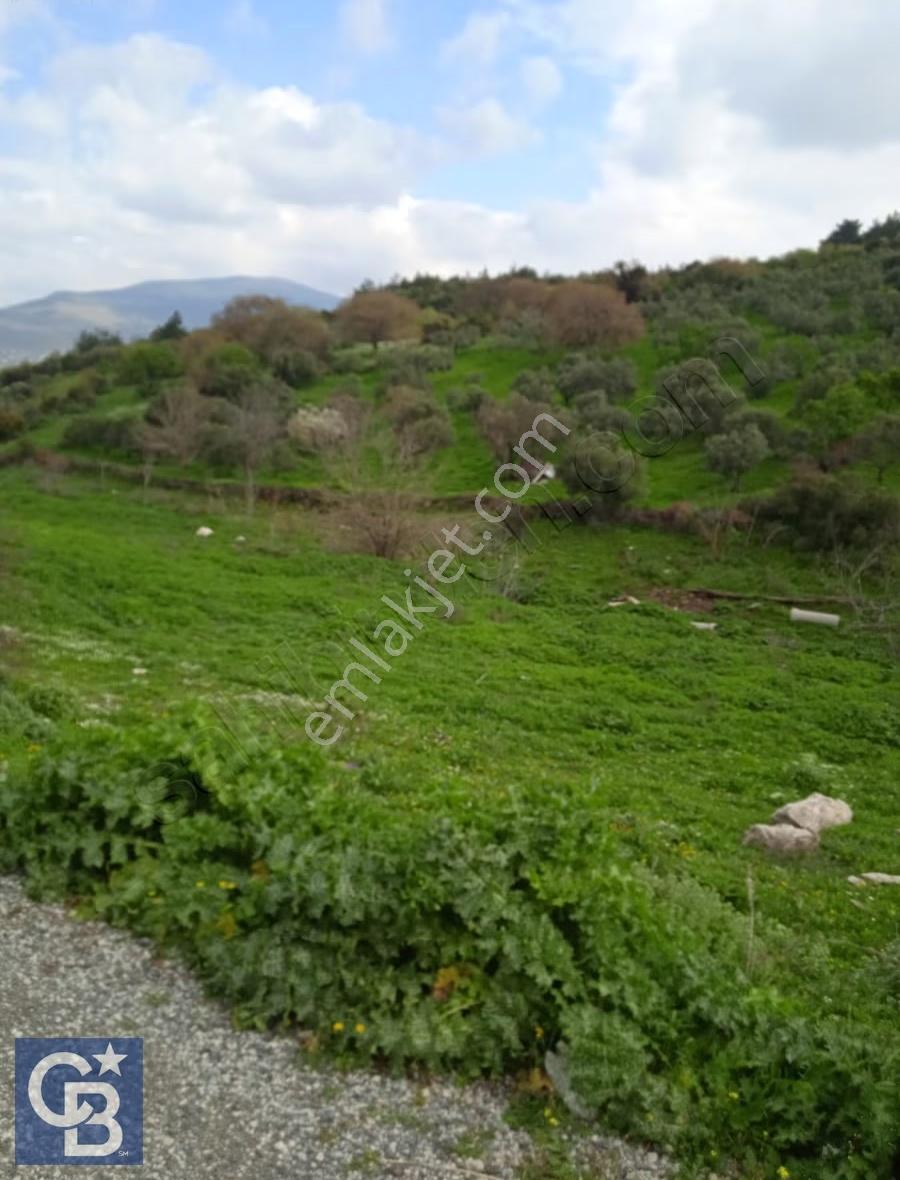 Bozköy İçerisinde Yola Cepheli 8 Hisseli 1948 M2 Satılık Bahçe - Görsel 11