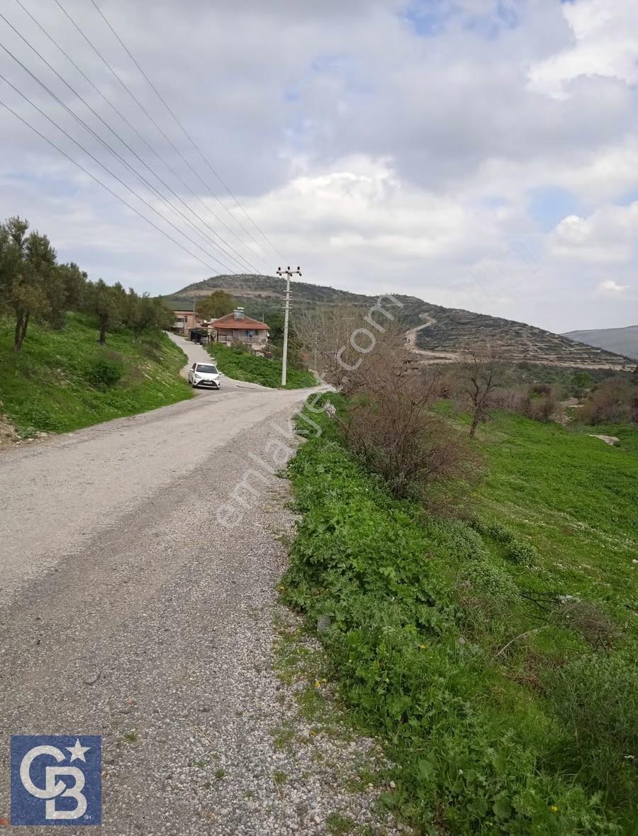 Bozköy İçerisinde Yola Cepheli 8 Hisseli 1948 M2 Satılık Bahçe - Görsel 9
