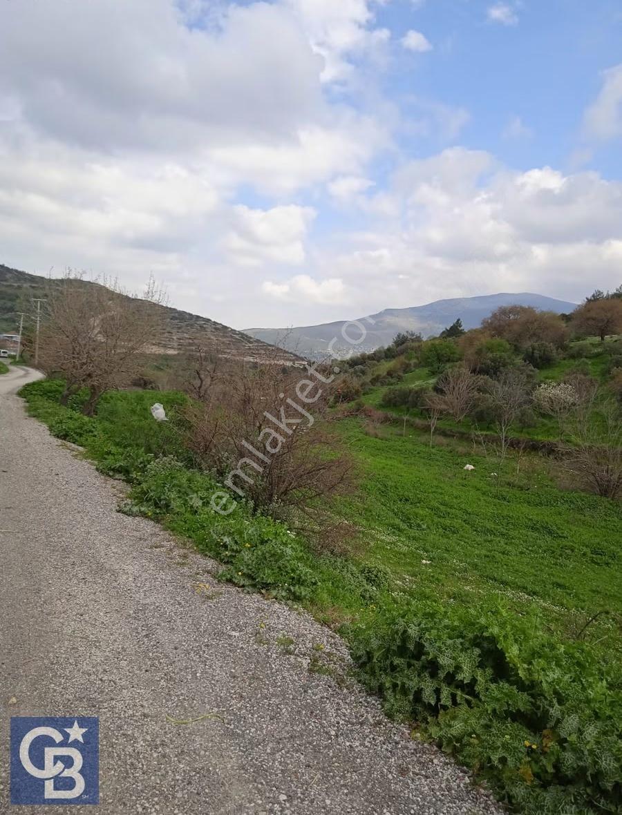 Bozköy İçerisinde Yola Cepheli 8 Hisseli 1948 M2 Satılık Bahçe - Görsel 7