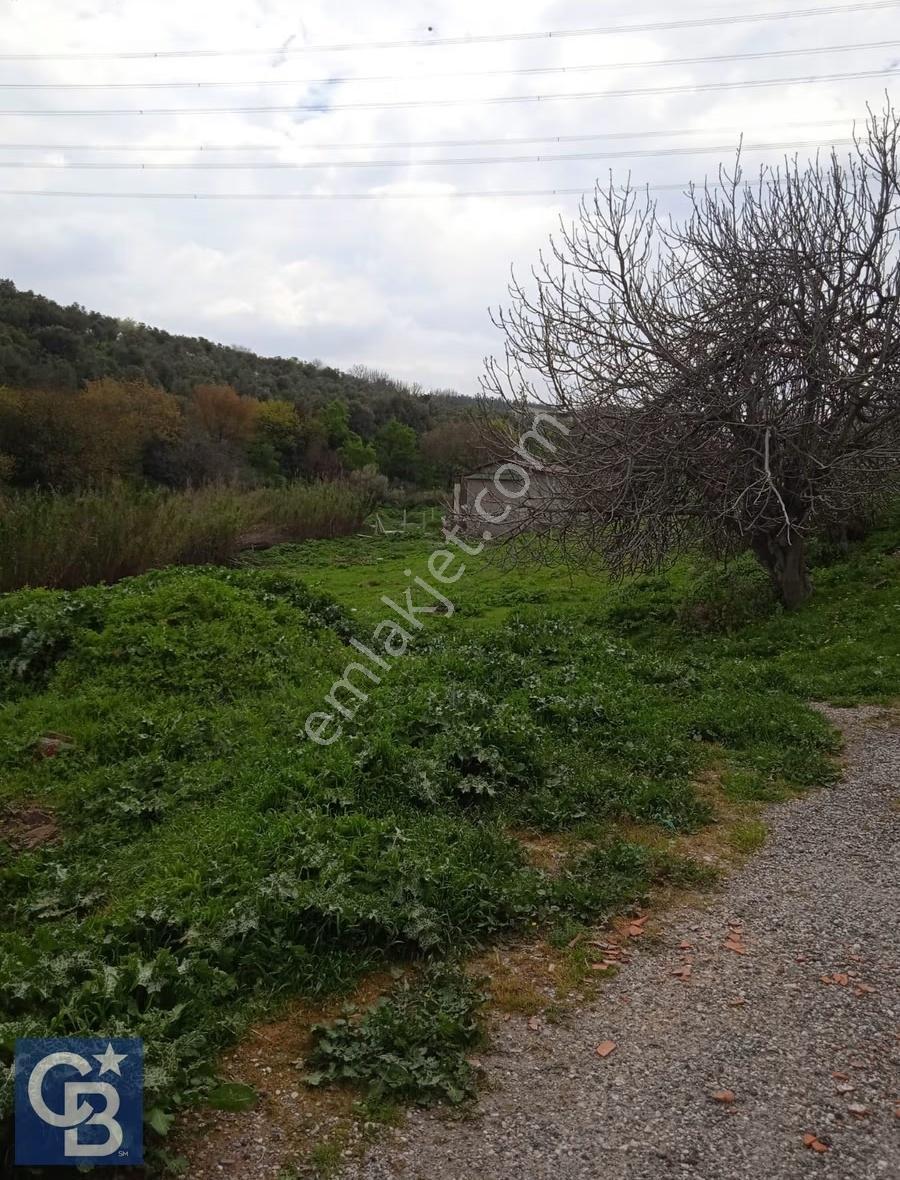 Bozköy İçerisinde Yola Cepheli 8 Hisseli 1948 M2 Satılık Bahçe - Görsel 15