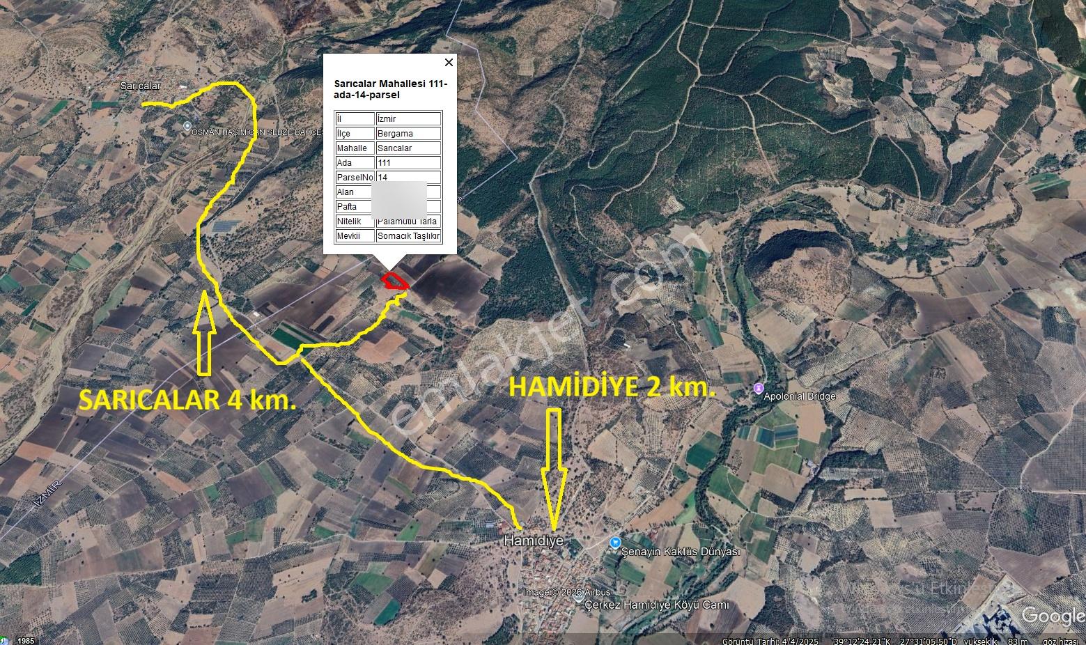 Sarıcalar-hamidiye Arasında 140 Ağaçlık Zeytinlik - Görsel 2