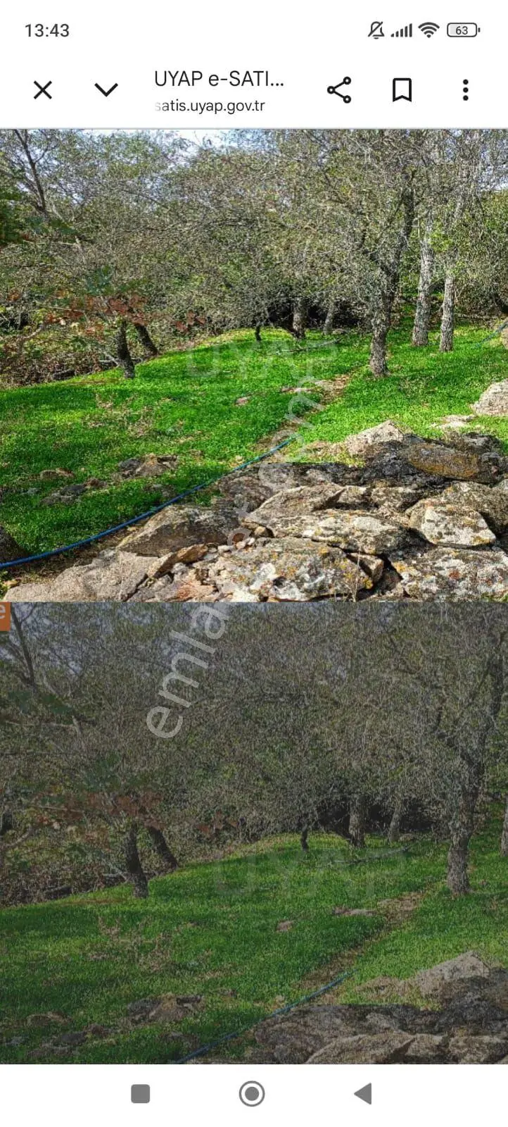 Kısa Süreliğine