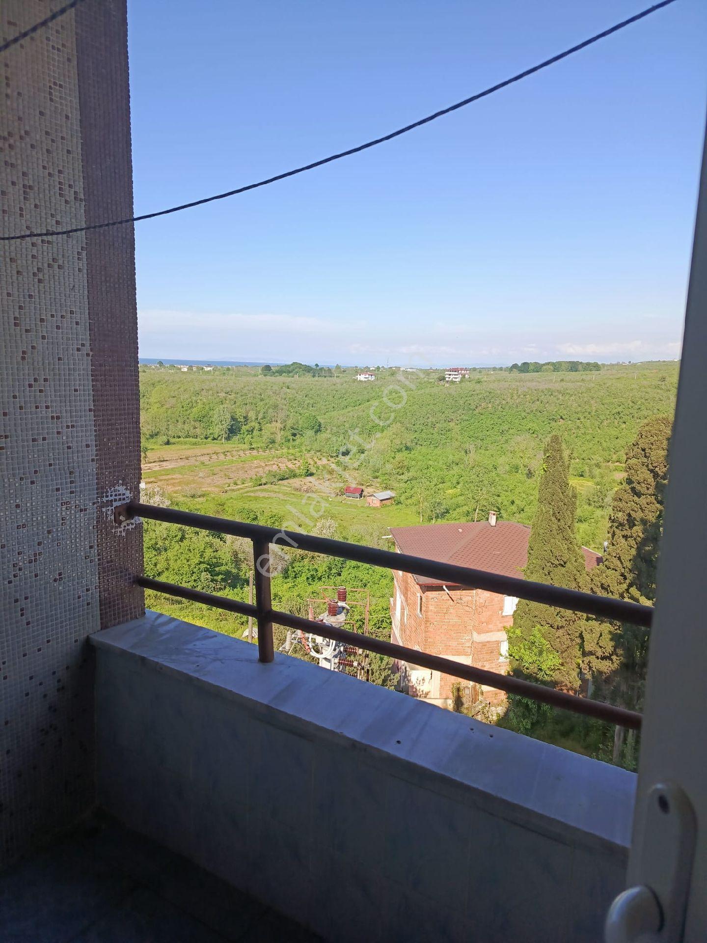 Sakarya Kocalıde Satılık Çatı Du - Görsel 10